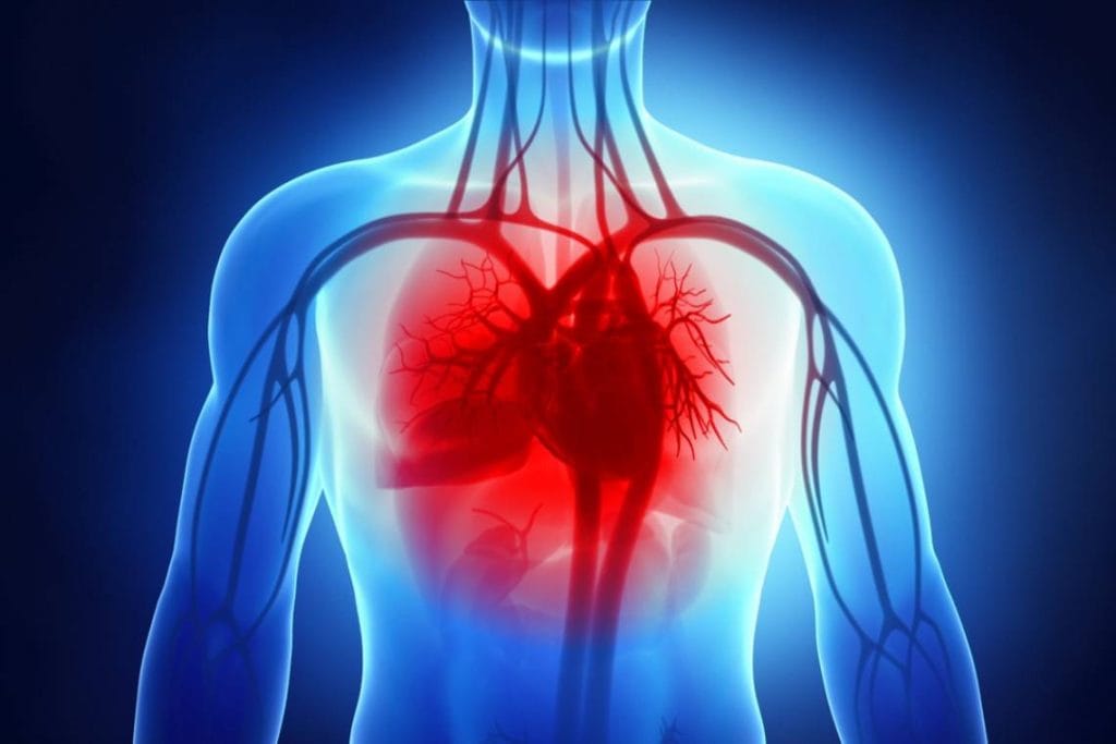 نارسایی قلب چیست؟