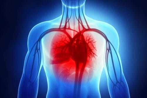 نارسایی قلب چیست؟